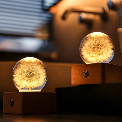 Dandelion Crystal Ball Bedside Lamp - HGHOM