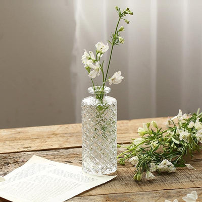 Embossed Transparent Vase - HGHOM